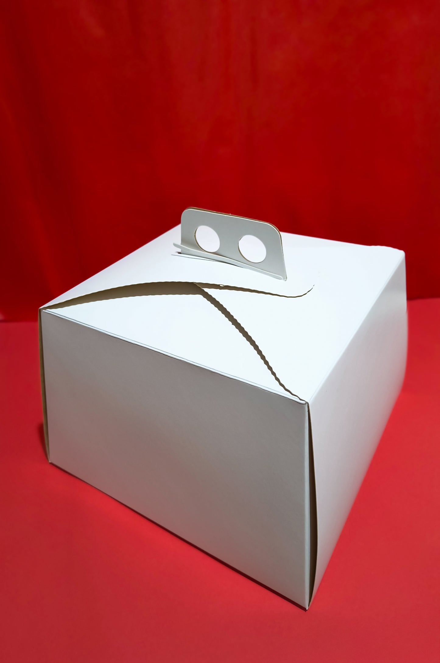 Caja De Torta Mini Alta (25*25*16)