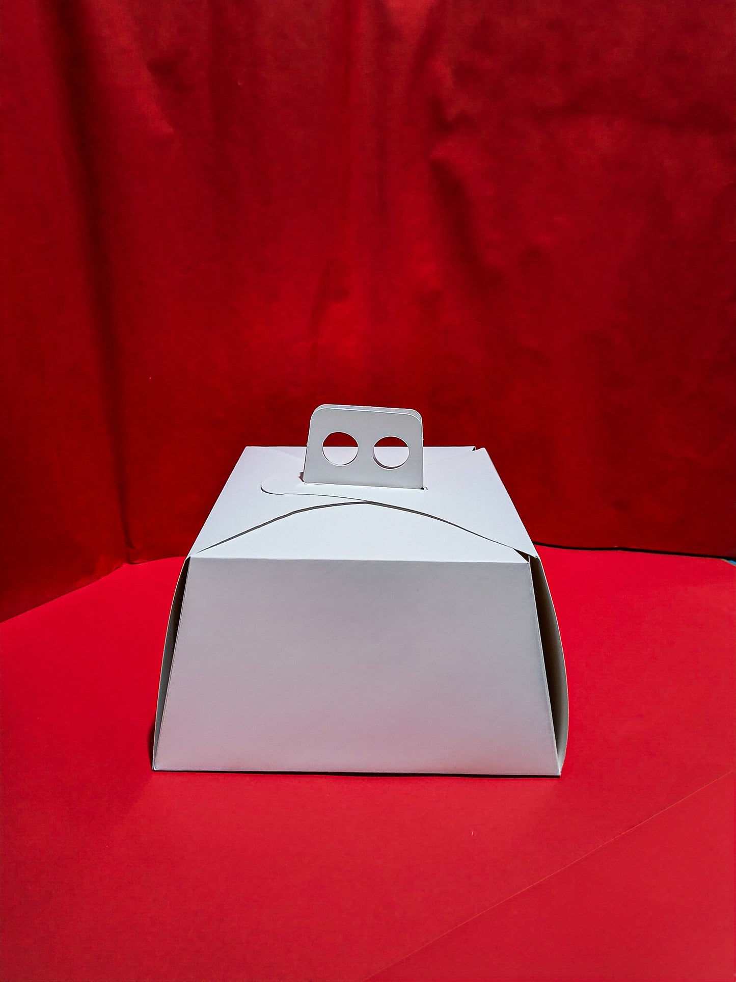 Caja De Torta Panetone (22*22*12)